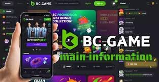 Complete Guide to BC.Game Registration 569622457 Complete Guide to BC.Game Registration 569622457