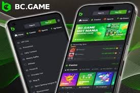Exceptional Customer Support at BC.Game AZ Your Queries Addressed Exceptional Customer Support at BC.Game AZ Your Queries Addressed