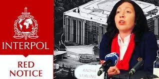 Understanding the Role of Interpol Defense Lawyers 1343303957